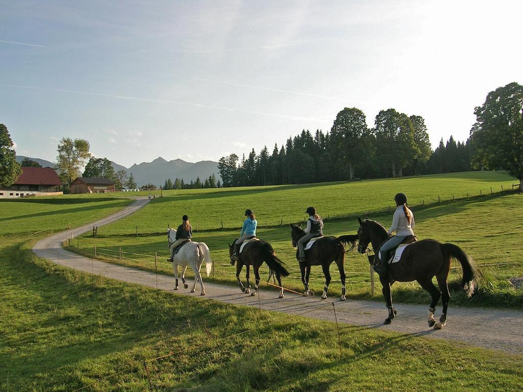 Appartements Laerchmoos Ramsau am Dachstein Esterno foto