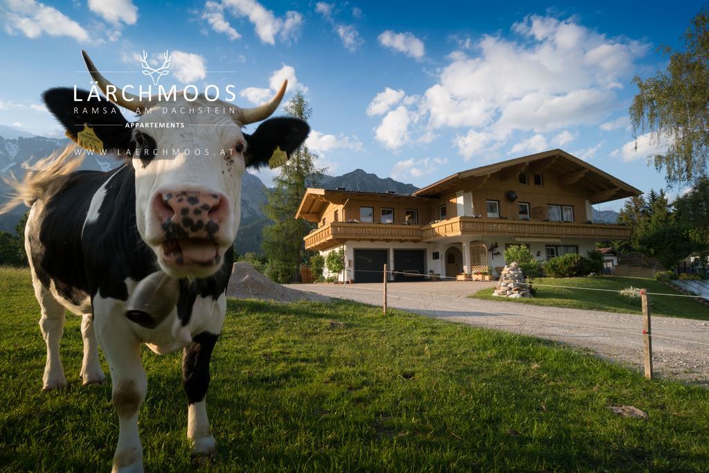 Appartements Laerchmoos Ramsau am Dachstein Esterno foto